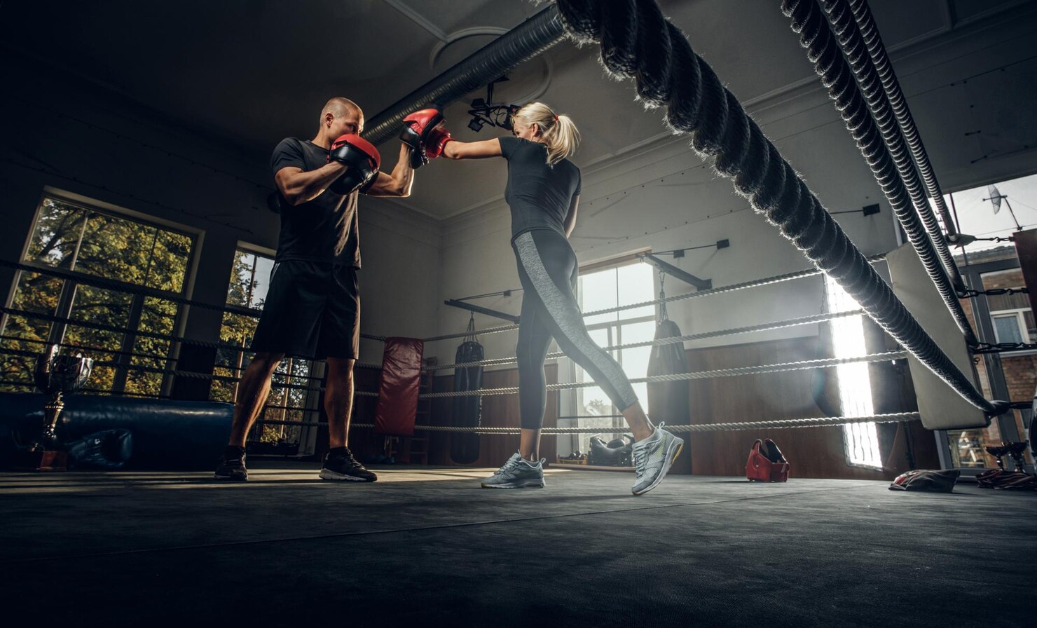 Boxing training